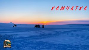 КОРЮШКА -ЗУБАРЬ Зимняя рыбалка на Камчатке #зимняярыбалка #корюшка #рыбалка #зимой #улов #рыбаки