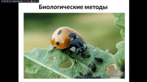 Основы агрономии 23.11.2024. Вредители с/х культур.