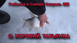 ЗИМНЯЯ РЫБАЛКА В САМАРЕ. ОСТРОВ КОРОВИЙ. ТАТЬЯНКА 1-2 ФЕВРАЛЯ 2025 ГОДА