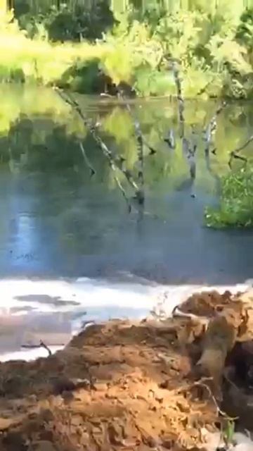 Здесь сделаем ГНБ прокол ☝️ смотреть онлайн