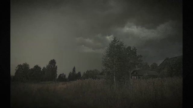 По грибы!!! Страшные истории на ночь!!! смотреть онлайн