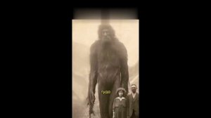 Этот мир скрывают от нас