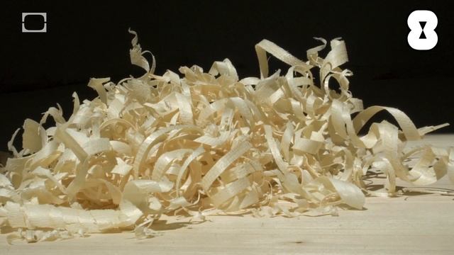 10 Disgusting Food Facts: Part 2 -- Epic Science #89