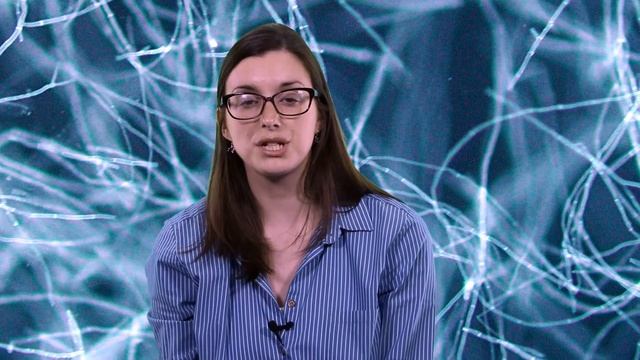 The heat is on; cooling down the response to Aspergillus смотреть онлайн