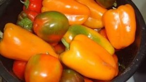 Салат из перца с фасолью. Маринкины творинки. Всем МИРА и Добра!