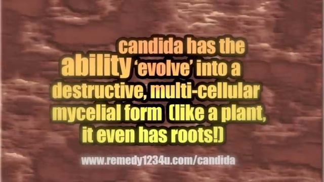 Candida Albicans | Yeast Infection смотреть онлайн