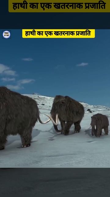 Giant elephant of ancient times । Mammoth #shorts #animals #viral