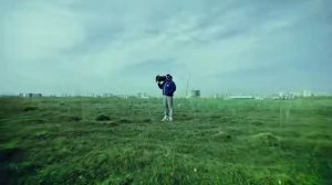 Тает лёд (Грибы)