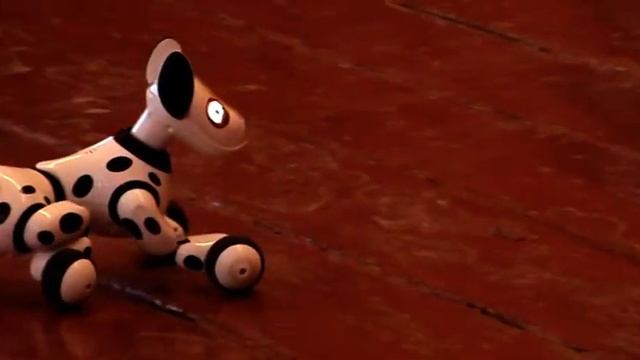 Табір Веселка 2019 смотреть онлайн