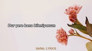 Melike Şahin - Ortak (Sözleri/Lyrics) | Şarkı Sözleri 🎵