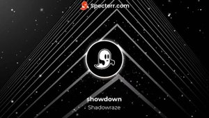 Shadowraze - showdown (без мата)