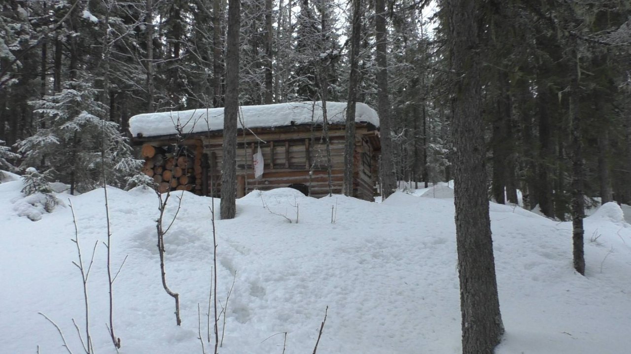 РОСОМАХА ПРИШЛА К ИЗБЕ И СЪЕЛА КУНИЦУ. ПРОВЕРКА ПУТИКА смотреть онлайн