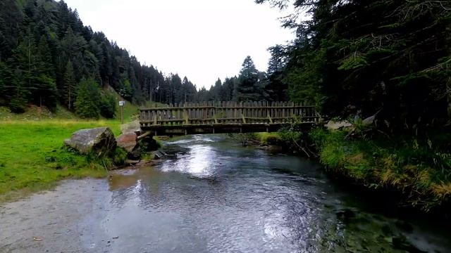 Семья КолесниковыхНовости из Дворца.