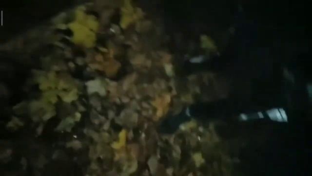 10 корсар против грибов смотреть онлайн