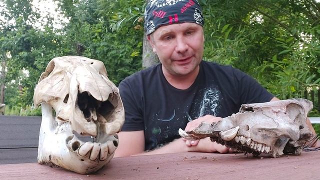 Онкология.Рак, и  для чего мы молимся умершим...за умерших?И о смотреть онлайн