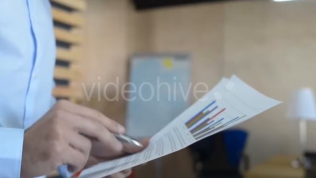 Reading Business Papers - Stock Footage  VideoHive 15141419