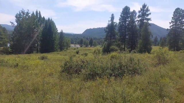 Влог из деревни,  отдых на природе  ! грибы ягоды  ! Моя работа ) смотреть онлайн