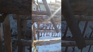 Раскол жасау