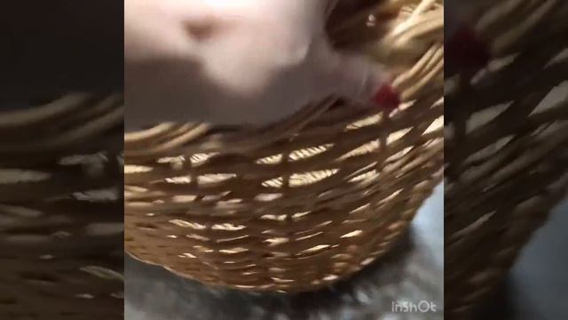 КОРЗИНА ГРИБНАЯ БОЛЬШАЯ 06/17С смотреть онлайн