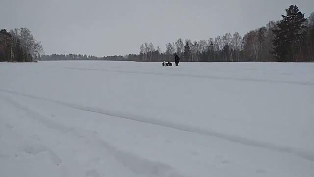 12 месяцев 2020. Февраль-1. Пос.Черемухово. Без друзей меня чуть-чуть, а с друзьями - много! смотреть онлайн