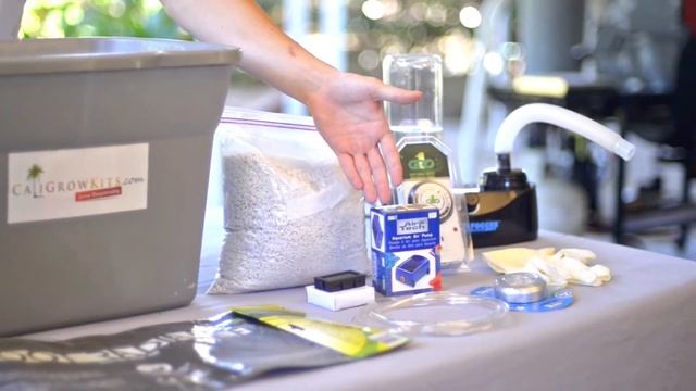 Mega Mushroom Growing & Incubating Kit - CaliGrowKits.com смотреть онлайн