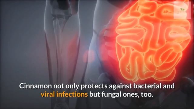 10 HEALTH BENEFITS OF CINNAMON смотреть онлайн