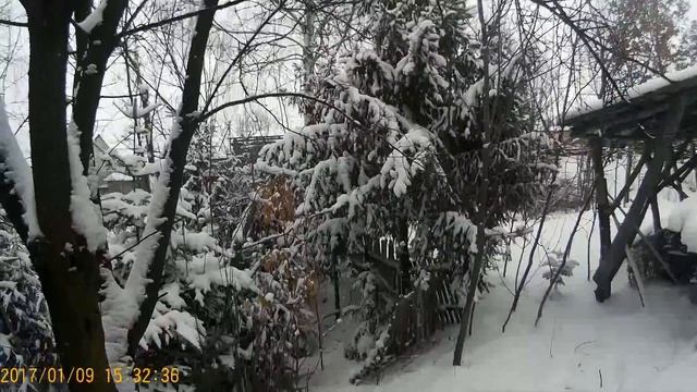 Шашлык из курицы на природе на мангале , сочный на шампурах, Курица мангале смотреть онлайн