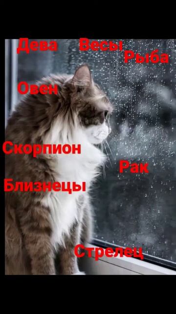 16 марта 2023 г. смотреть онлайн