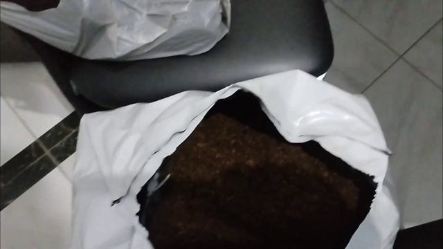 100% укоренение черенков винограда в Беларуси!!!