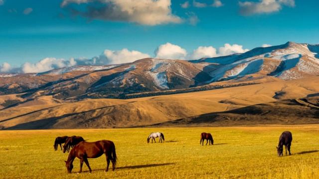 Мұқағали Мақатаев "Қазақстан". #мұқағали #мұқағалимақатаев #поэзия #өлеңдер #қазақстан смотреть онлайн