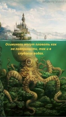 Факт об осьминогах №35❤️🐙Подробнее в описании #животные#факты#интересно#reels#animals#facts#осьмино