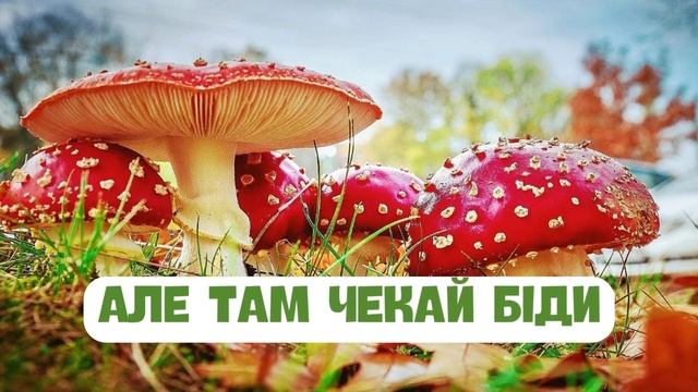 МУХОМОР  | Розвиваючі вірші українською | ВІРШІ ДЛЯ МАЛЕНЬКИХ