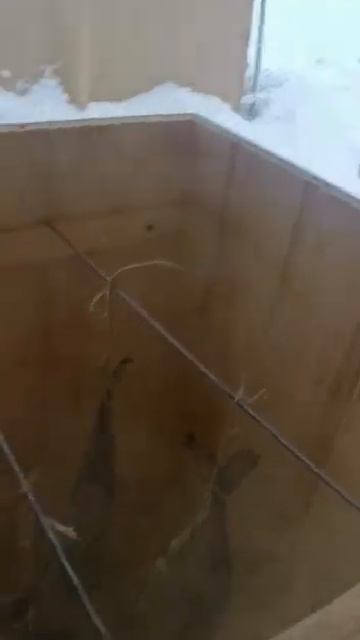 Недорогая коптильня холодного копчения. смотреть онлайн