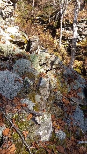 Осень смотреть онлайн