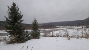 косьва рассольный