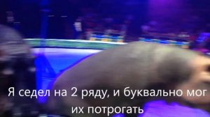 Бегемоты в цирке