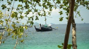 КРАБИ МАЙ 2024