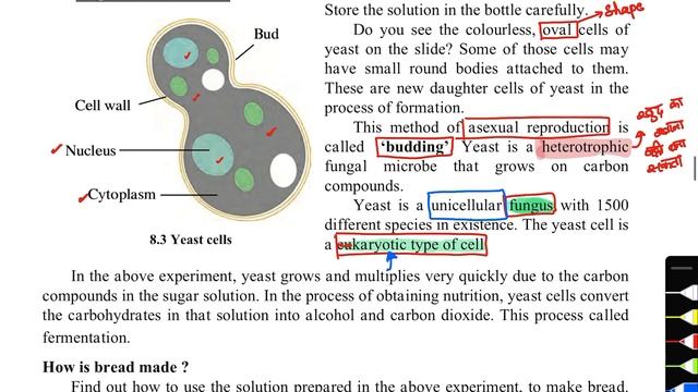 16 November 2021 смотреть онлайн