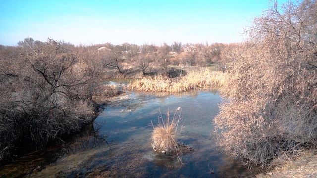 Сәкен Сейфуллин Сұлу терек.            сәкен сейфуллин түркістан поэзия жыр өлең