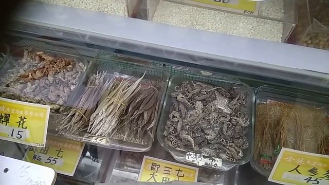 Natural Herbs Hong Kong | Hong Kong Wholesale market | Sheung Shui market | Yarsagumba | смотреть онлайн