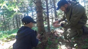 Семья ГРИБНИКОВ на острове САХАЛИН . ГРИБАЛКА 2023