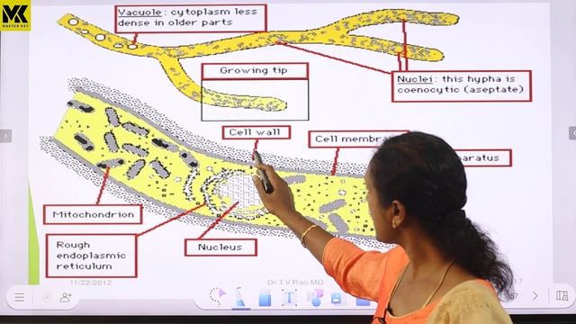 PROKARYOTES AND EUKARYOTES PART-1||MICROBO;OGIST(BACTERIOLOGIST)||KERALA PSC смотреть онлайн