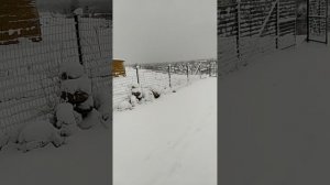 Хэллоин, или снова зима