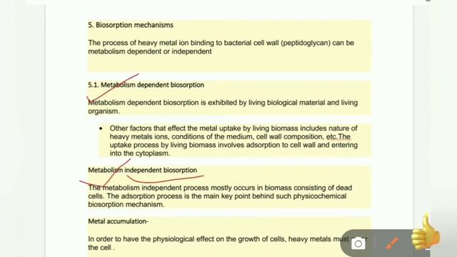 Biosorption in fungi смотреть онлайн