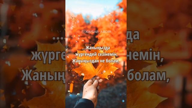 🍁КҮЗГІ ХАТ🍁 авторы: Қалқаман Сарин, оқыған: Қайсар Берікұлы (ҚАЗАҚША ПОЭЗИЯ-2020)