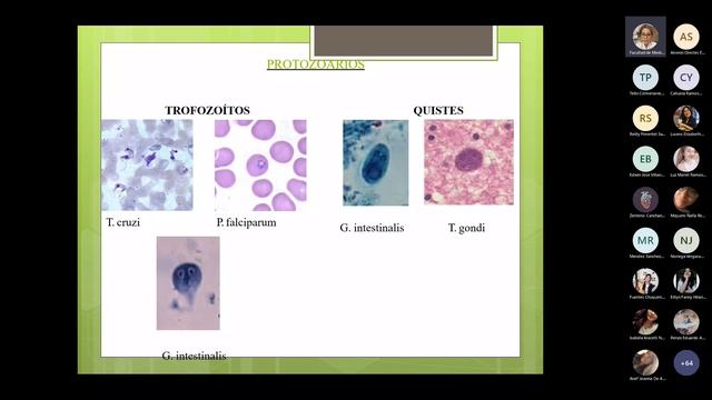 3RA CLASE LABORATORIO DE ENFERMEDADES MICOTICAS Y PARASITARIAS  DRA RODRIGUEZ смотреть онлайн