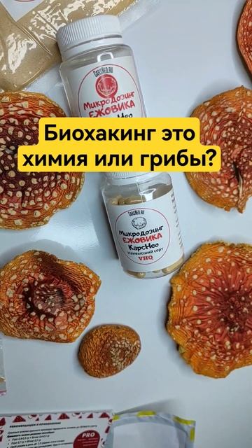 Биохакинг это химия или грибы? #ежовик #микродозинг #ноотропы #биохакинг