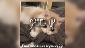 Братишка (не спид ап)