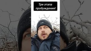 Три этапа пробуждения! #просветление #Пробуждение #осознанность #погружение #эго #сознание #ментал