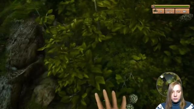 Morels The Hunt: Фотоохота на все вокруг смотреть онлайн